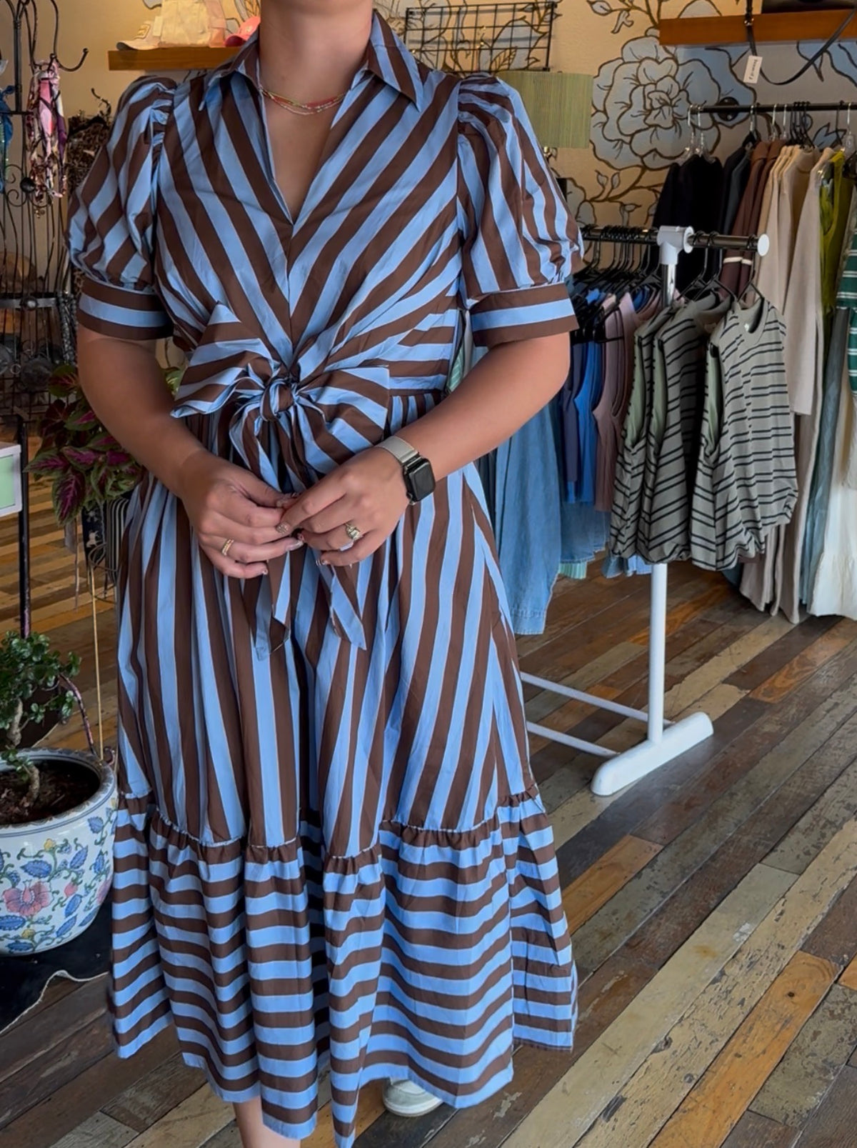 Brown and Blue dress