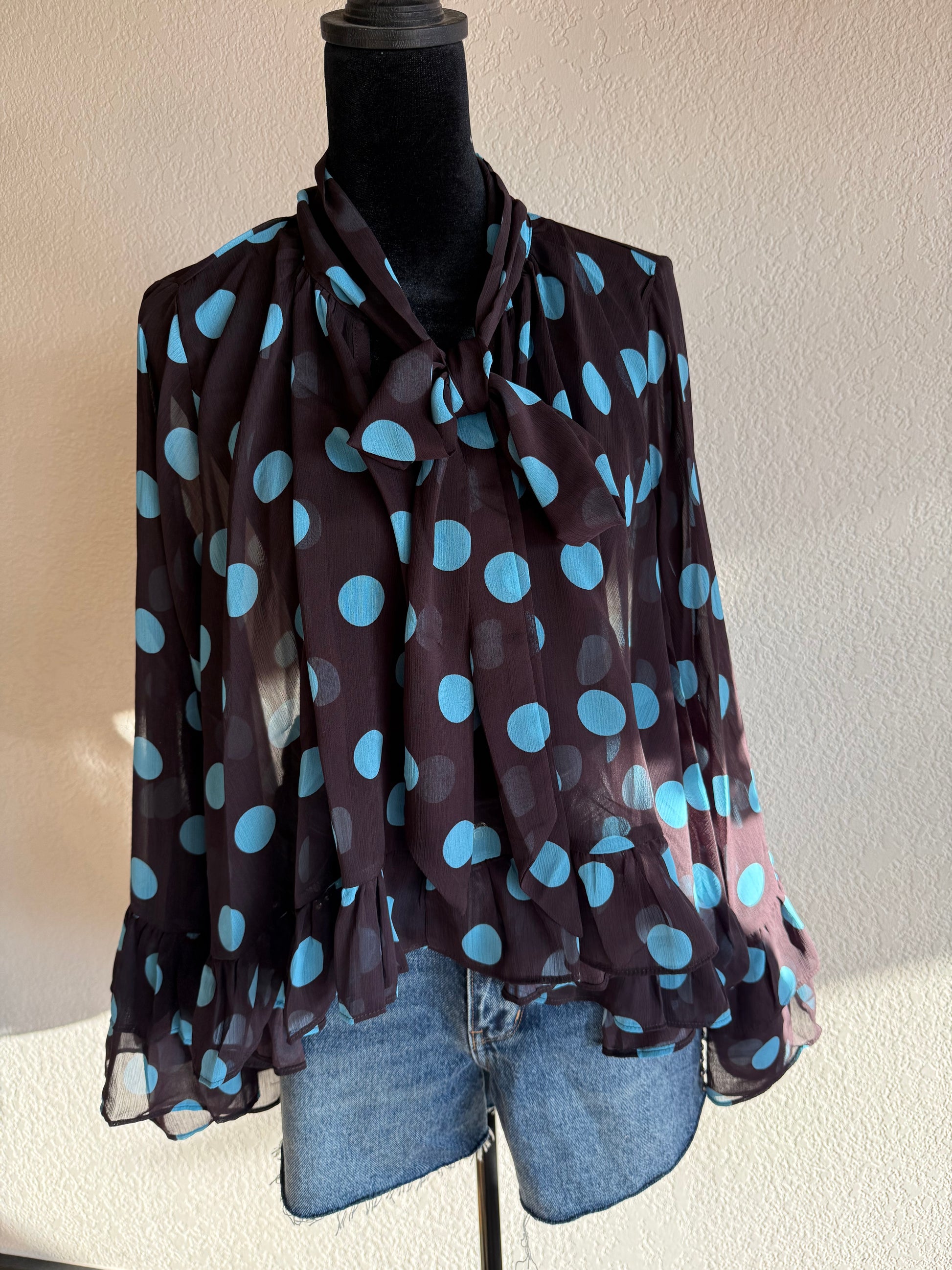 Brown and Blue Sheer Blouse